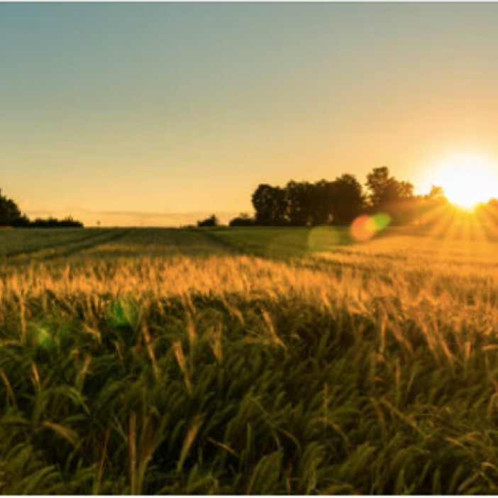 farmland